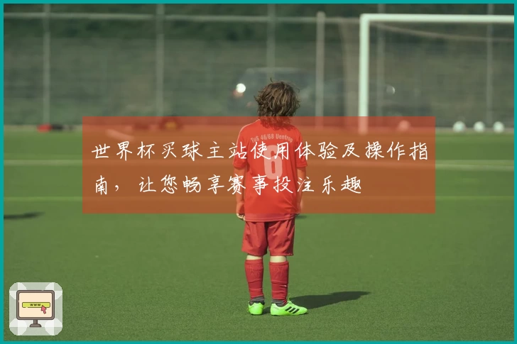 世界杯买球主站使用体验及操作指南，让您畅享赛事投注乐趣