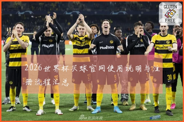2026世界杯买球官网使用说明与注册流程汇总