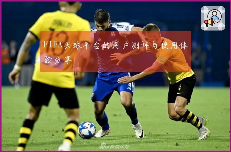 FIFA买球平台的用户测评与使用体验分享