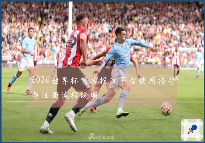 2026世界杯官方投注平台使用指导与注册流程说明