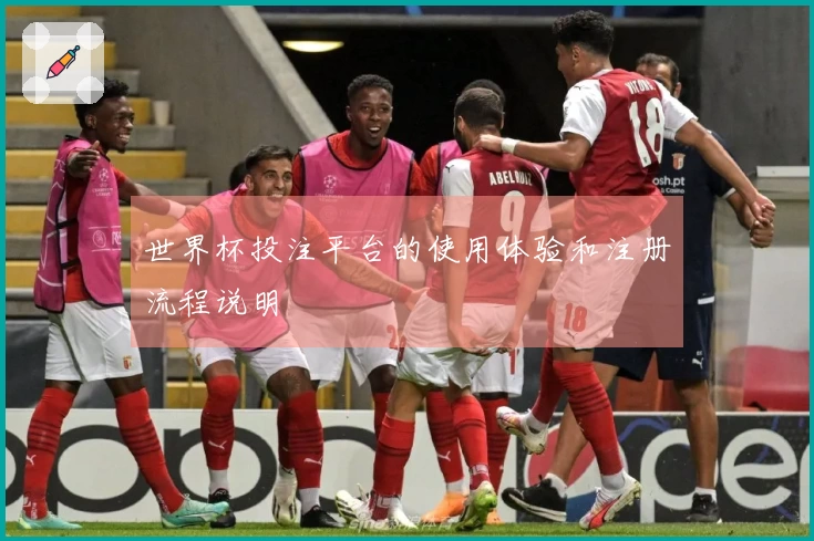 世界杯投注平台的使用体验和注册流程说明