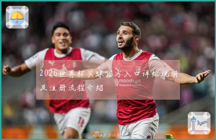 2026世界杯买球官方入口详细说明及注册流程介绍