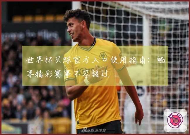 世界杯买球官方入口使用指南：畅享精彩赛事不容错过