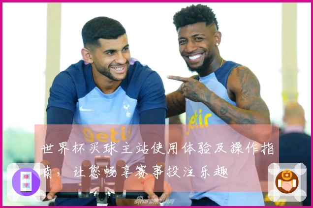 世界杯买球主站使用体验及操作指南，让您畅享赛事投注乐趣