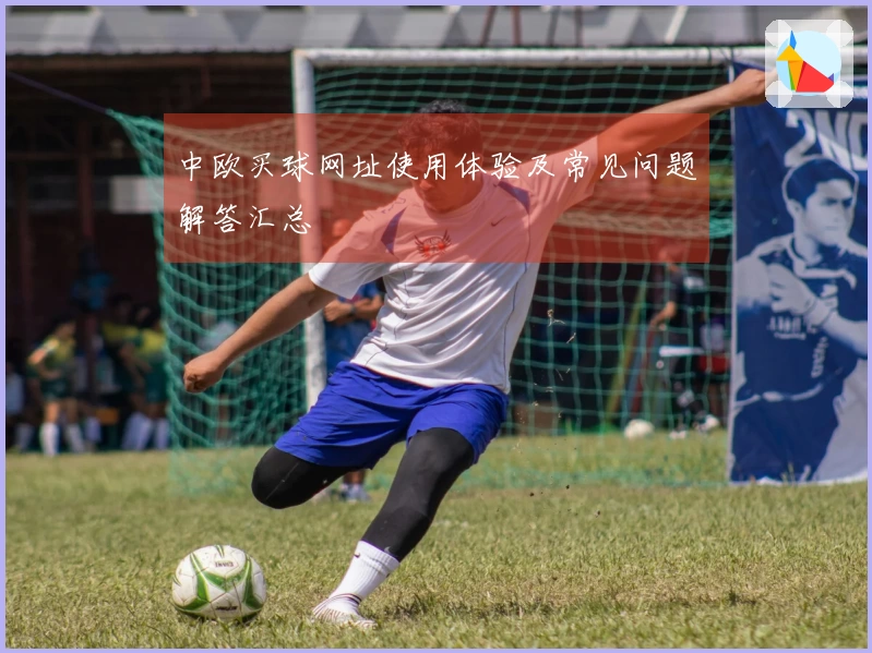 中欧买球网址使用体验及常见问题解答汇总