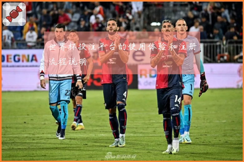 世界杯投注平台的使用体验和注册流程说明