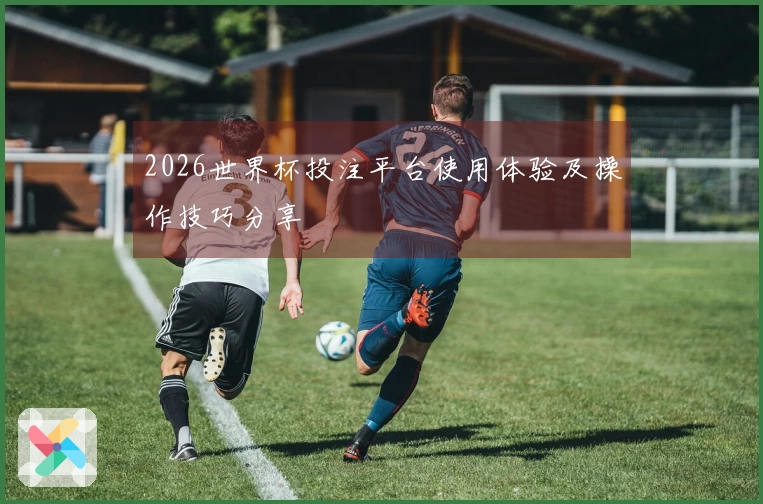 2026世界杯投注平台使用体验及操作技巧分享